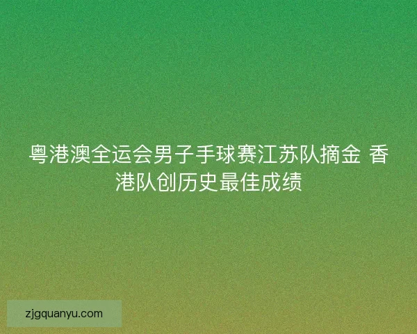 粤港澳全运会男子手球赛江苏队摘金 香港队创历史最佳成绩
